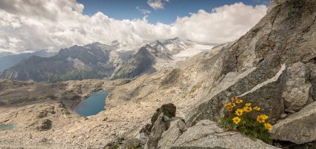 Punta Payer (3056mslm) – Sentiero dei Fiori a Ponte di Legno