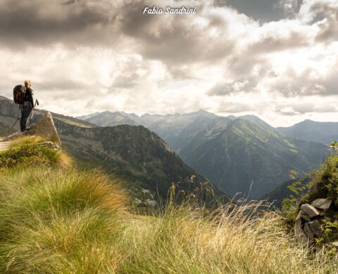 Alta Via dell'Adamello #1