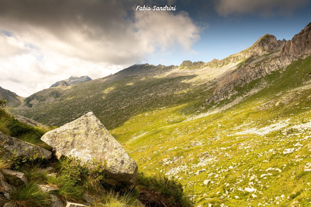 Alta Via dell'Adamello #1