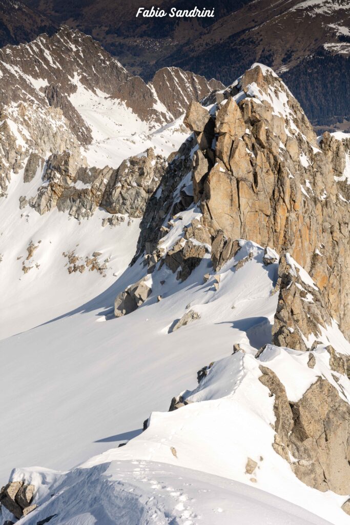 Monte Mandrone - Scialpinismo in Adamello