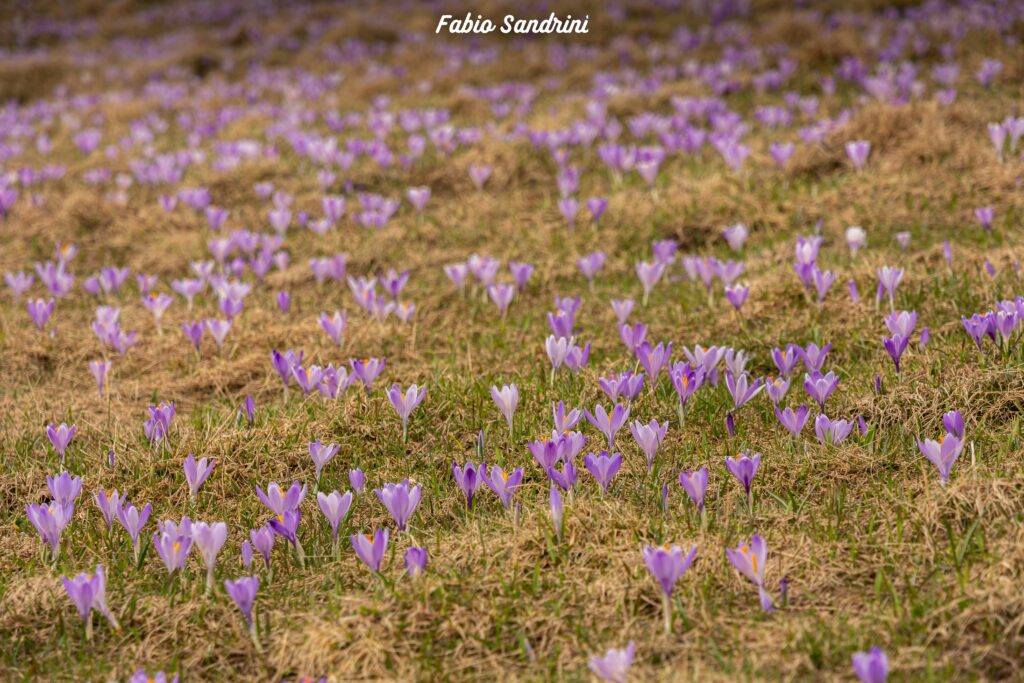 Monte Cusna 2120m - Via Normale