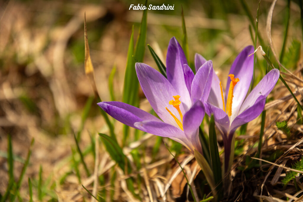 Monte Cusna 2120m - Via Normale