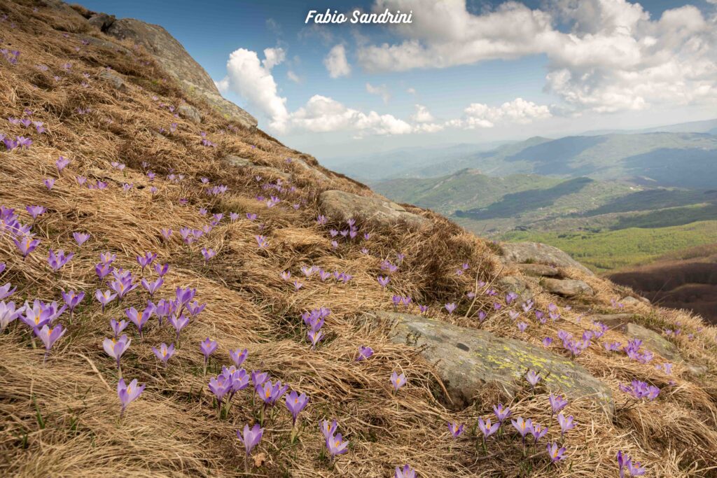 Monte Cusna 2120m - Via Normale