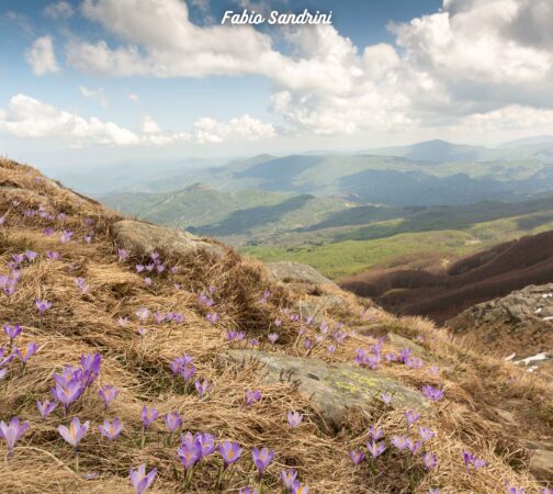 Monte Cusna (2120mslm) – Trekking in Appennino Tosco Emiliano