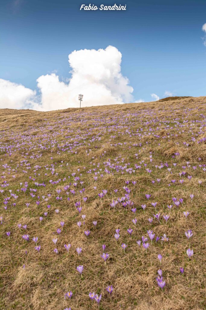 Monte Cusna 2120m - Via Normale