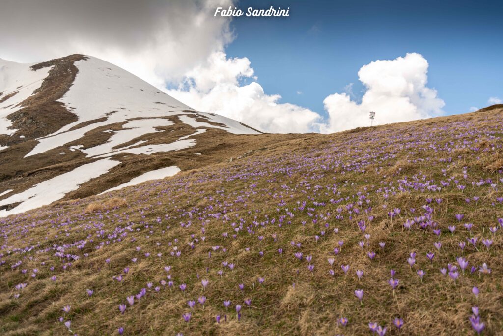 Monte Cusna 2120m - Via Normale