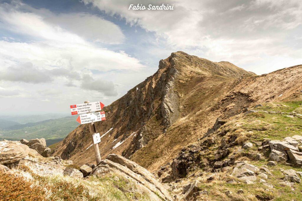 Monte Passone Via Normale