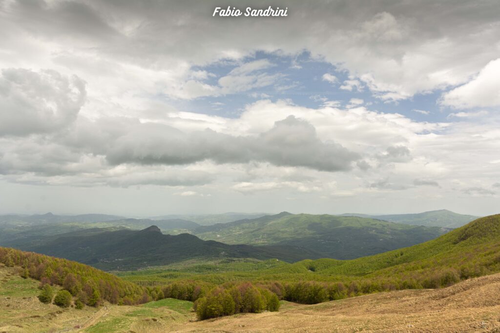Monte Passone Via Normale