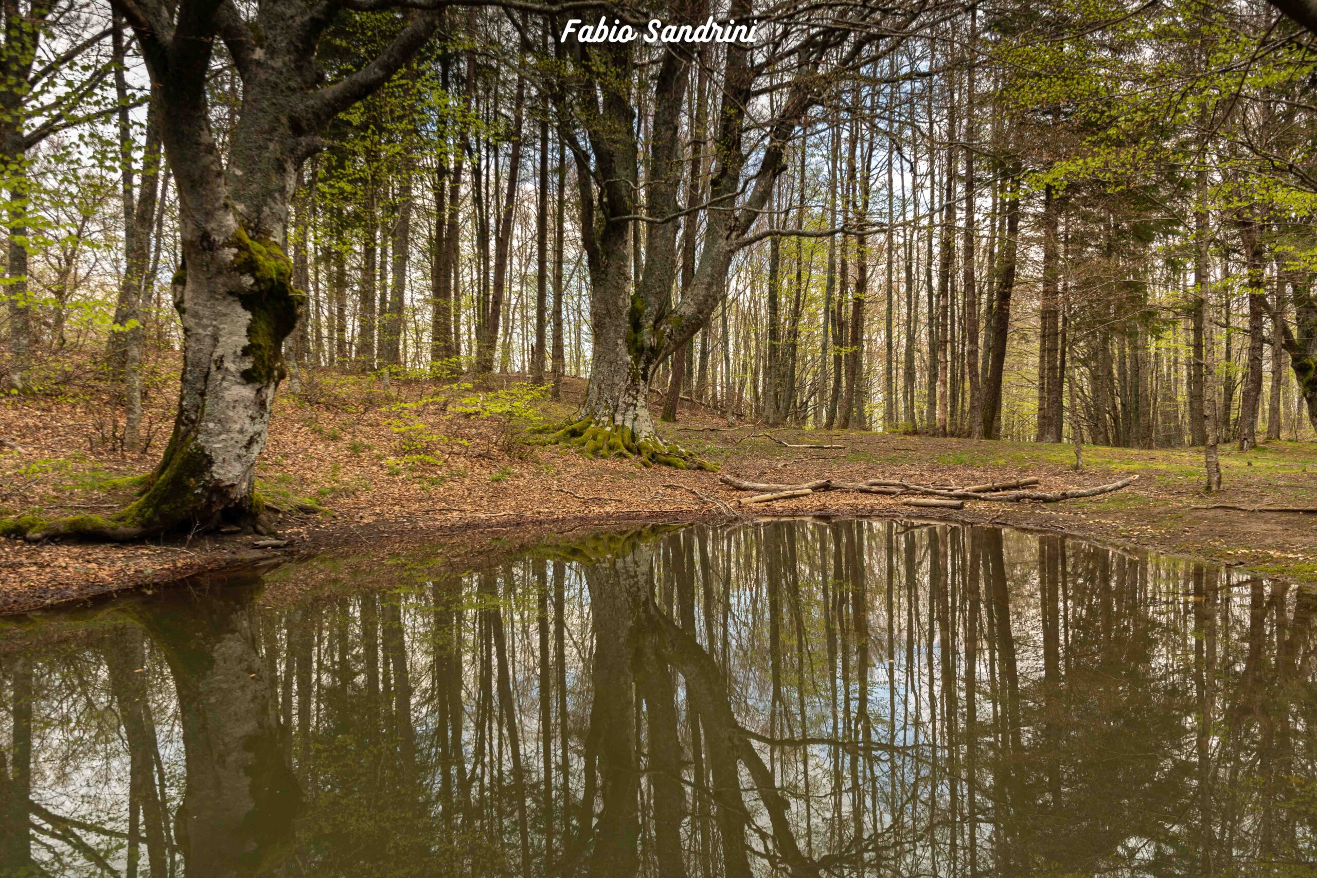 Monte Ventasso - Via Normale