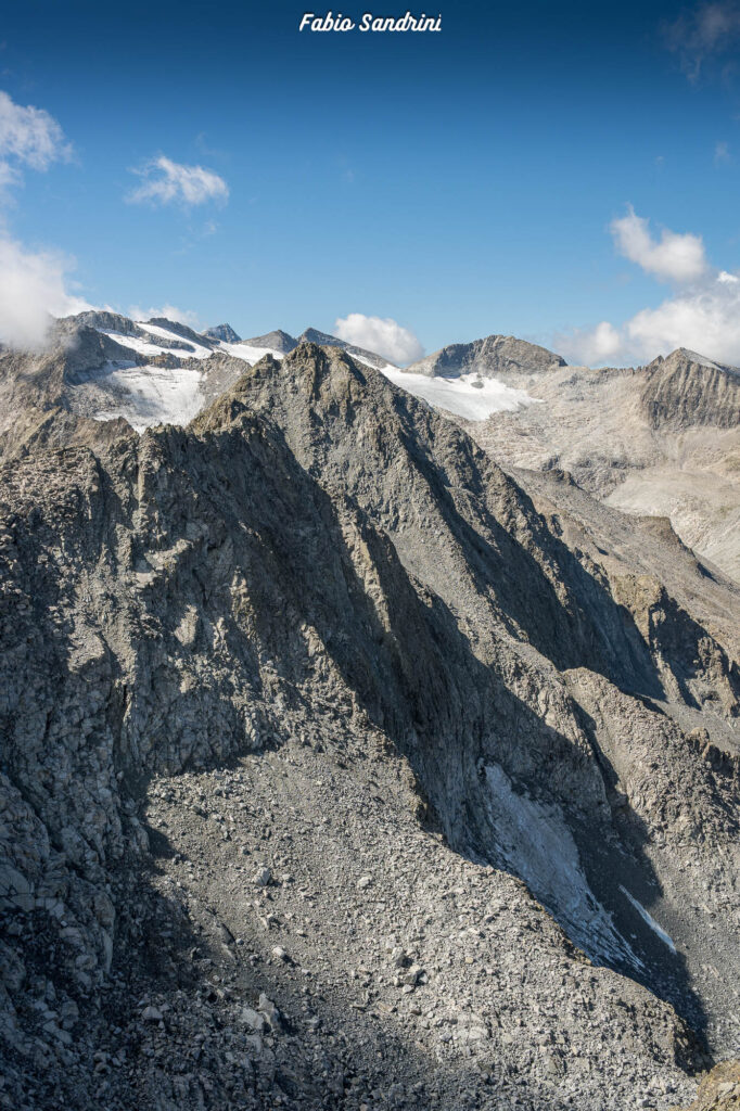Cima Payer e Corno Lagoscuro - Alpinismo in Adamello