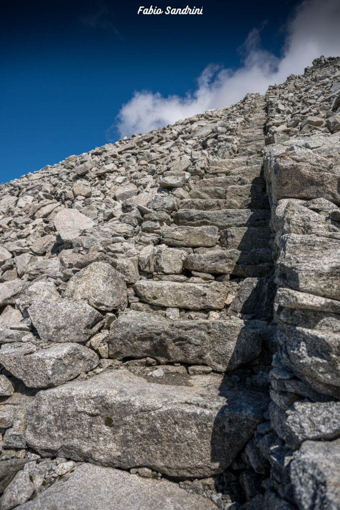 Cima Payer e Corno Lagoscuro - Alpinismo in Adamello