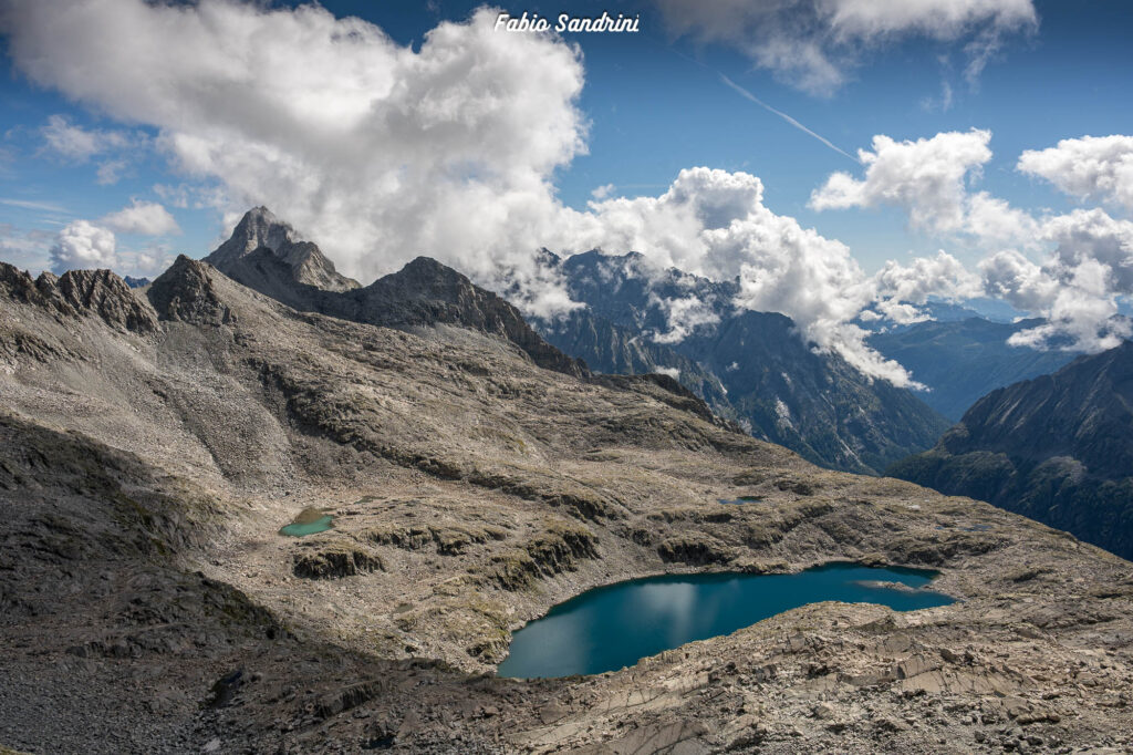 Cima Payer e Corno Lagoscuro - Alpinismo in Adamello