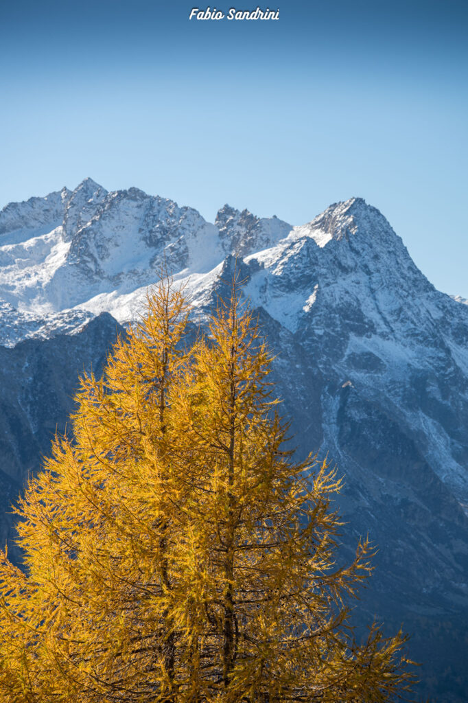 Cima Biolca - Trekking al Passo Tonale
