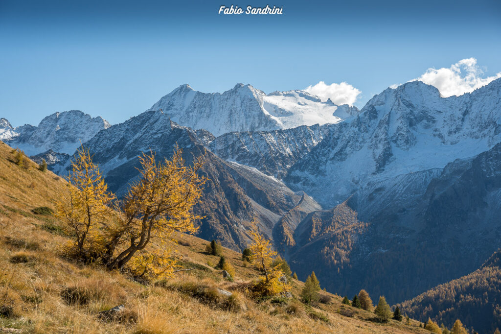 Cima Biolca - Trekking al Passo Tonale
