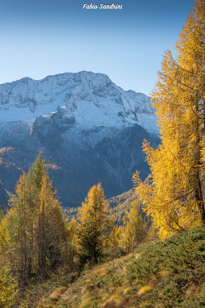 Cima Biolca - Trekking al Passo Tonale