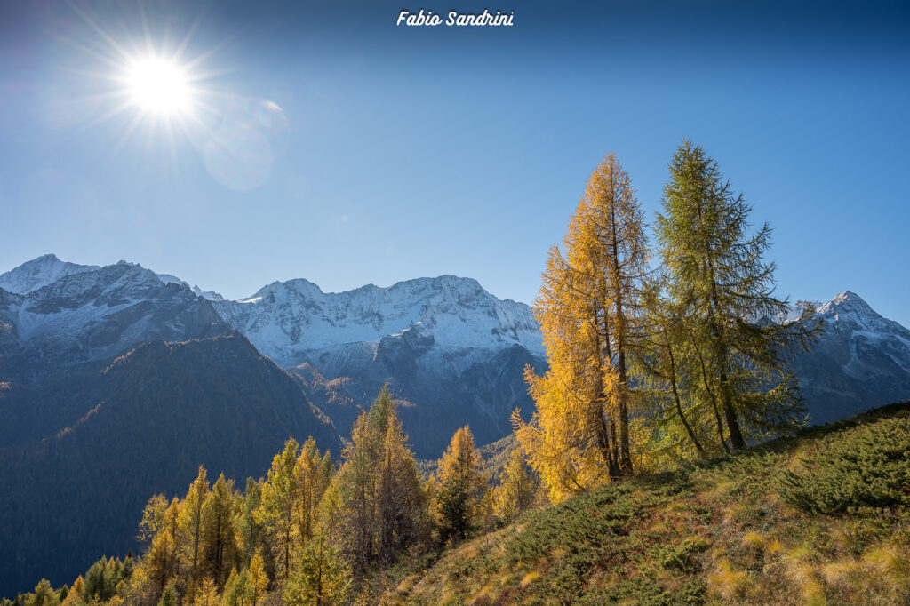 Cima Biolca - Trekking al Passo Tonale