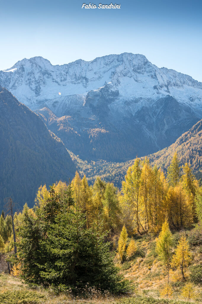Cima Biolca - Trekking al Passo Tonale