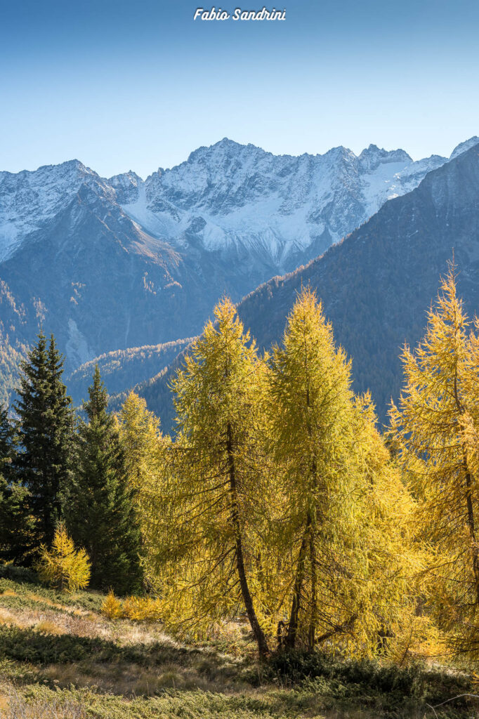 Cima Biolca - Trekking al Passo Tonale