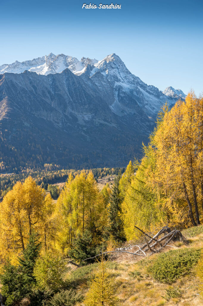 Cima Biolca - Trekking al Passo Tonale