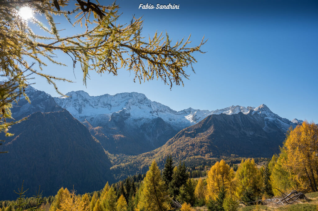 Cima Biolca - Trekking al Passo Tonale