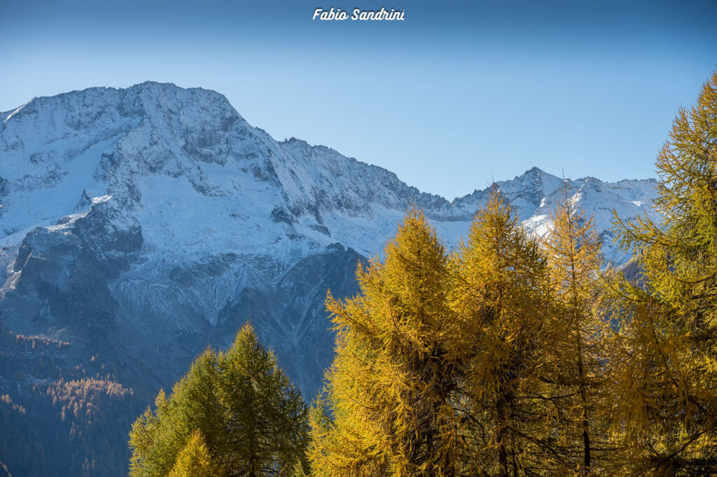 Cima Biolca - Trekking al Passo Tonale