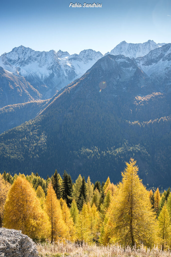 Cima Biolca - Trekking al Passo Tonale