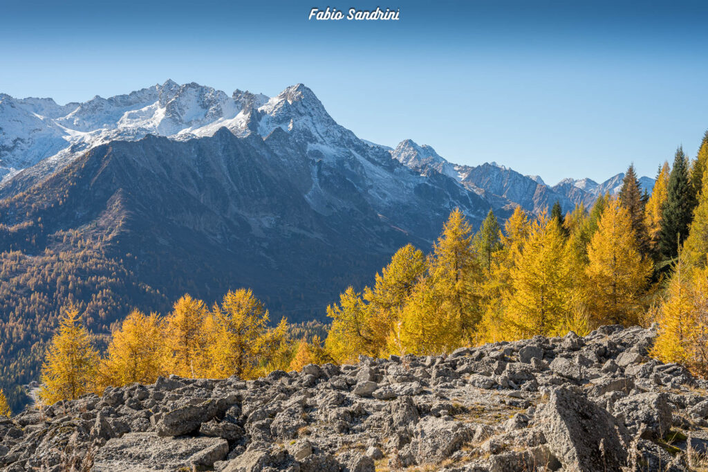 Cima Biolca - Trekking al Passo Tonale