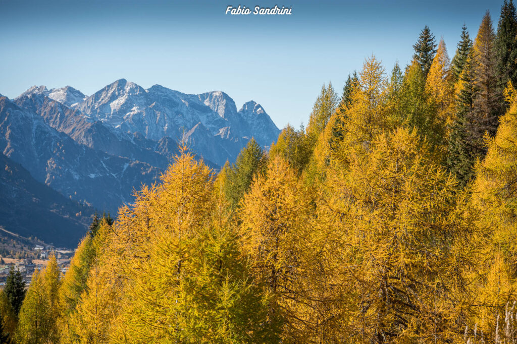 Cima Biolca - Trekking al Passo Tonale