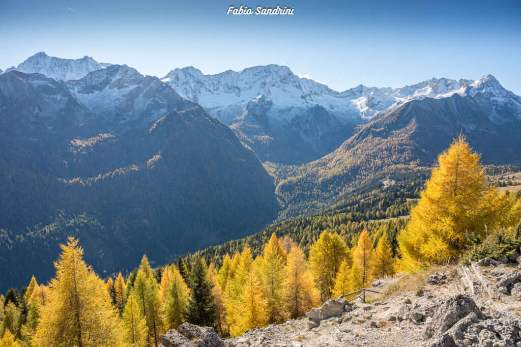 Cima Biolca - Trekking al Passo Tonale