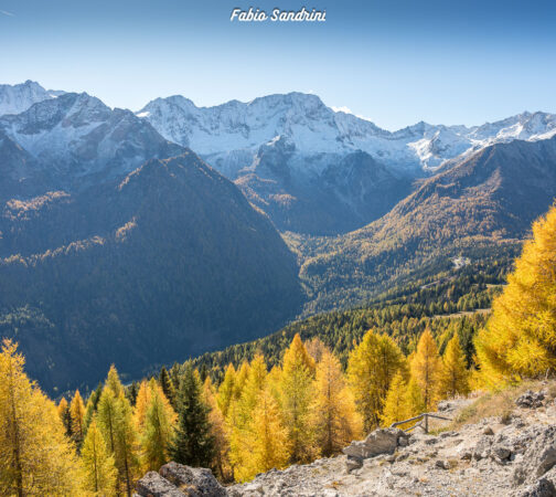 Cima Biolca (2521mslm) – Trekking dal Passo Tonale