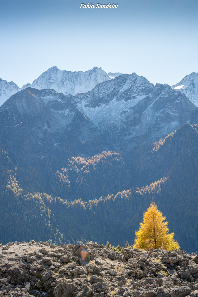 Cima Biolca - Trekking al Passo Tonale