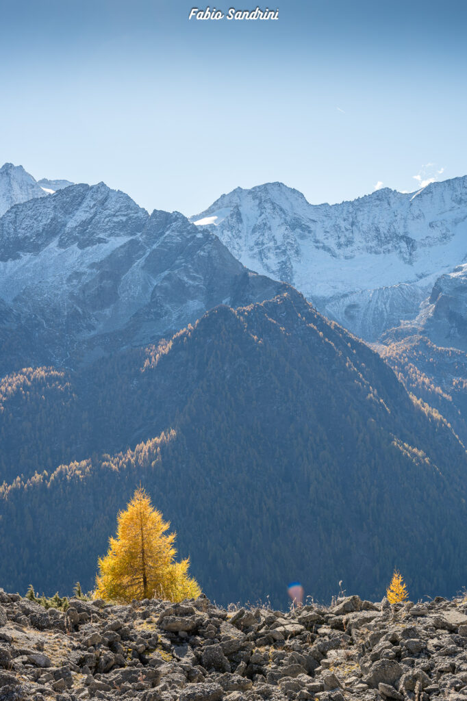 Cima Biolca - Trekking al Passo Tonale