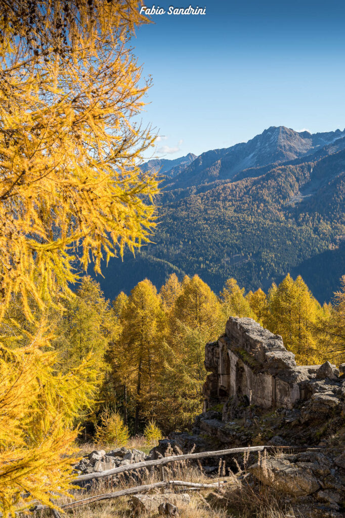 Cima Biolca - Trekking al Passo Tonale