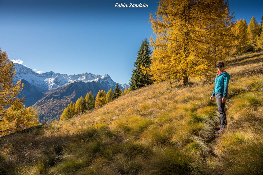 Cima Biolca - Trekking al Passo Tonale