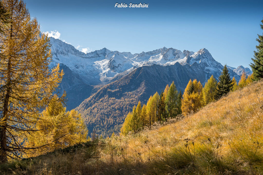 Cima Biolca - Trekking al Passo Tonale