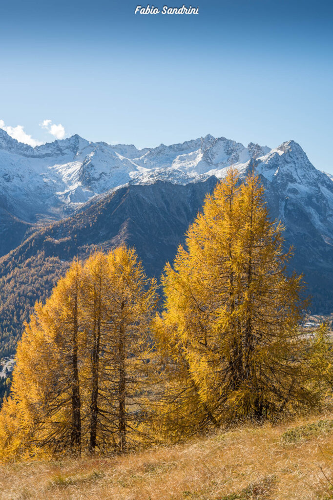 Cima Biolca - Trekking al Passo Tonale