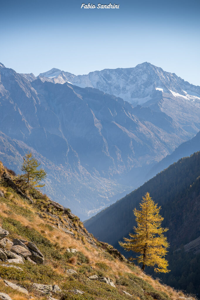 Cime di Pietrarossa - Val di Canè