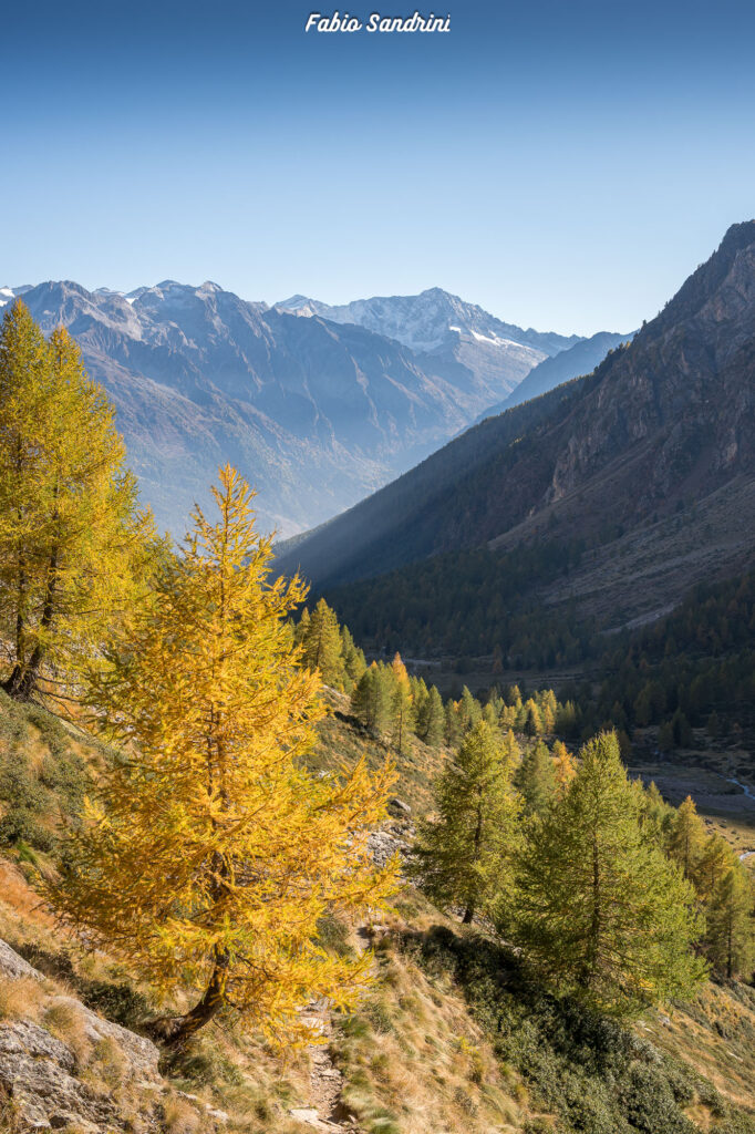 Cime di Pietrarossa - Val di Canè