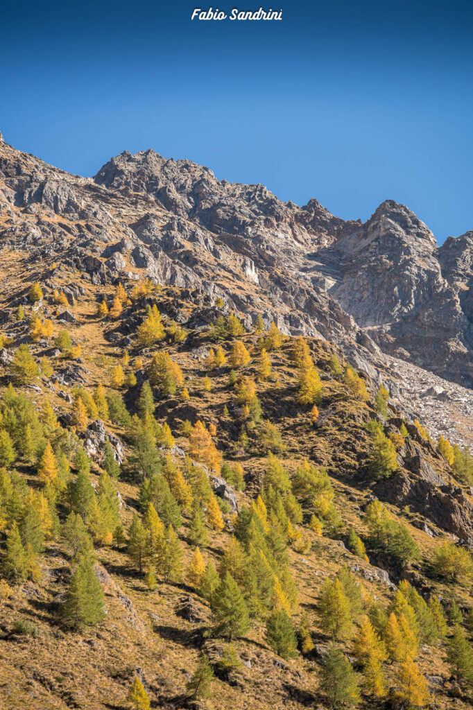Cime di Pietrarossa - Val di Canè