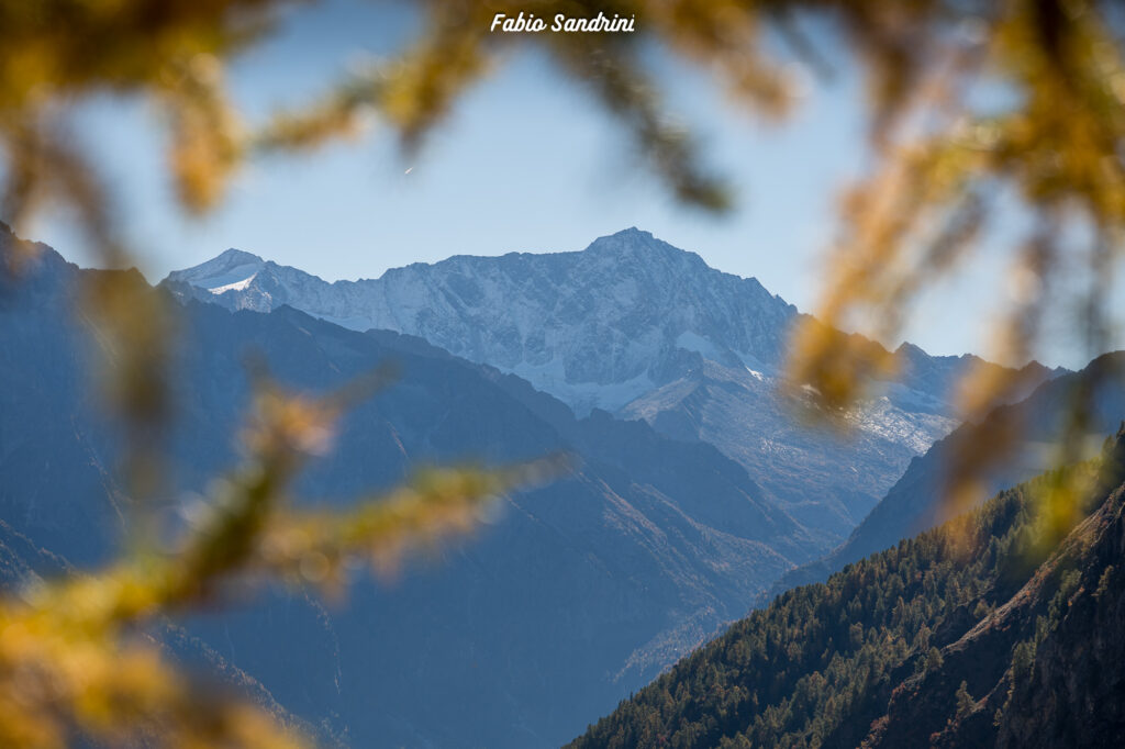 Cime di Pietrarossa - Val di Canè